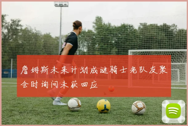 詹姆斯未来计划成谜骑士老队友聚会时询问未获回应
