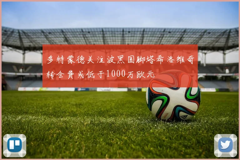 多特蒙德关注波黑国脚塔希洛维奇转会费或低于1000万欧元