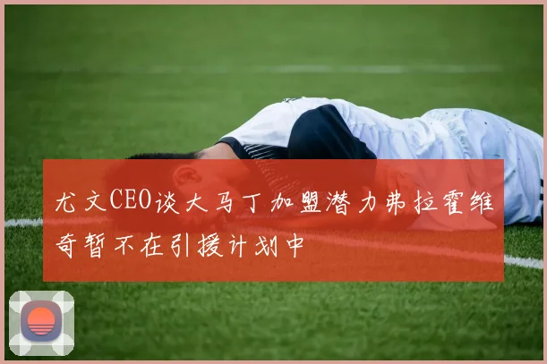 尤文CEO谈大马丁加盟潜力弗拉霍维奇暂不在引援计划中
